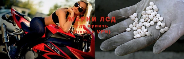 сатива Осинники