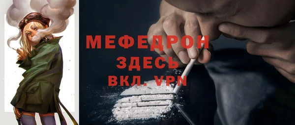 сатива Осинники