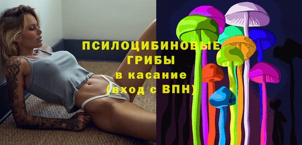 сатива Осинники