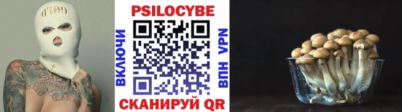 Галлюциногенные грибы Psilocybe  Раменское 