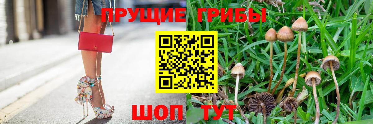 Раменское  Псилоцибиновые грибы Psilocybe  Псилоцибиновые грибы мухоморы  Вход с VPN 
