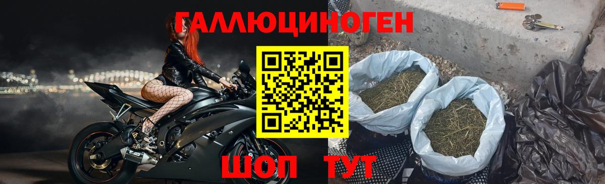 Галлюциногенные грибы прущие грибы Раменское